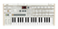 Bild på Korg Microkorg S