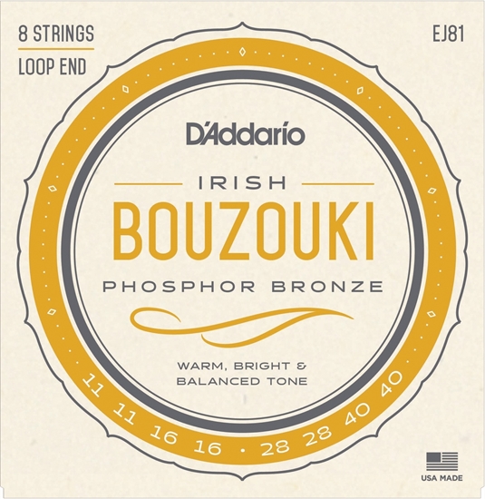 Bild på D'Addario Bouzouki Irish 011-040 EJ81