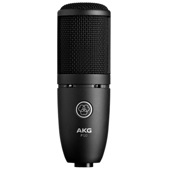Bild på AKG P120 General Purpose Recording Microphone