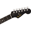 Bild på Fender Player Limited Edition Stratocaster HSS