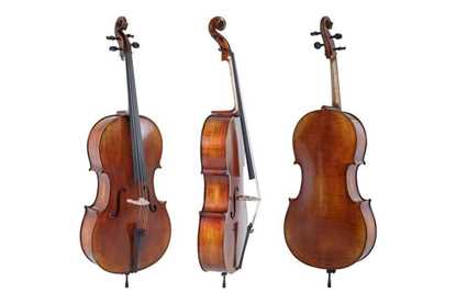 Bild på Gewa Cello Maestro 2-VC4 4/4 WFT
