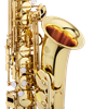 Bild på Altsax JAS-510Q
