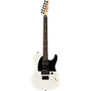 Bild på Fender Jim Root Telecaster Flat White