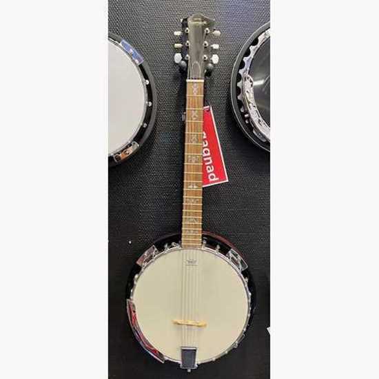 Bild på beg gitarrbanjo med etui