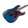 Bild på Ibanez RG653DX-TDF