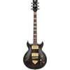 Bild på Ibanez AR520HME-NT