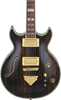 Bild på Ibanez AR520HME-NT