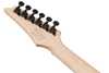 Bild på Ibanez RG421DX-TWS