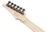 Bild på Ibanez RG653DX-WHF