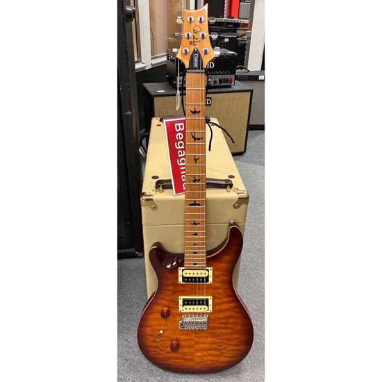 Bild på Beg PRS Custom 24 Lefty