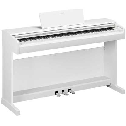 Bild på Yamaha YDP-146 White