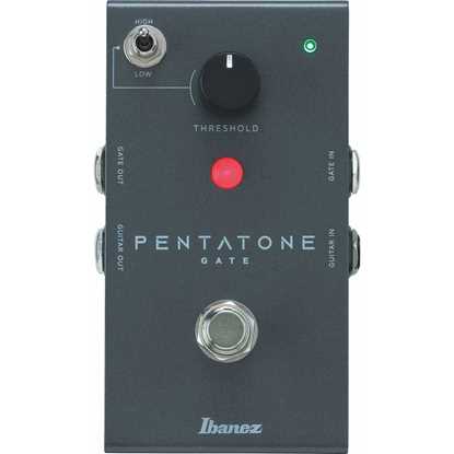 Bild på Ibanez Pentatone Noise Gate