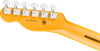 Bild på Fender American Professional Telecaster MN