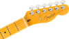 Bild på Fender American Professional Telecaster MN